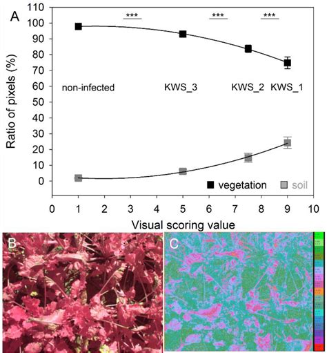 Non-Invasive Spectral Phenotyping Methods can Improve and Accelerate ...