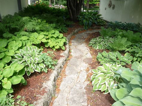 23 Fern Garden Ideas You Should Check | SharonSable