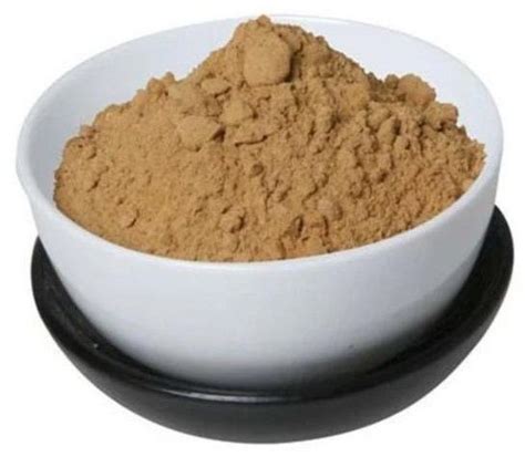 Putrajivak Extract Manufacturer Exporter Supplier from Indore India