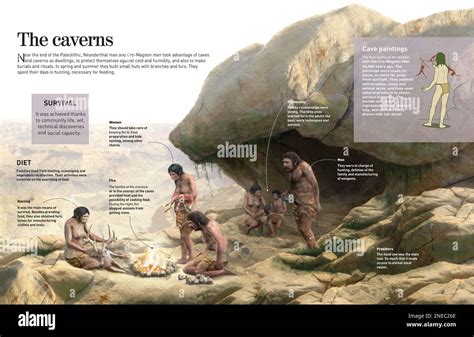 Primitive Humans Building 的图像结果