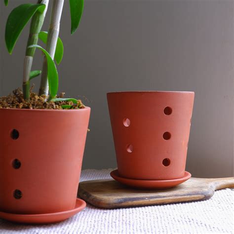 Truffle Orchid Planter- set of 3 – PRAKRTI GARDEN BOUTIQUE