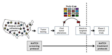 Pediatric MATCH Finds More Targetable Mutations than Expected - NCI
