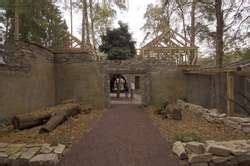 ZooLex Exhibit - Owl Castle