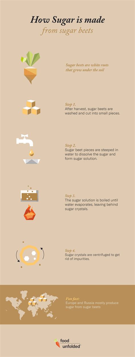 How Is Sugar Made? | FoodUnfolded
