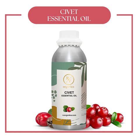 Buy Civet Essential Oil | Civet Oil for Fragrance – RV Organica