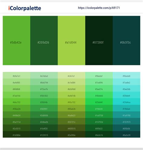 3+ Bottle Green And Bottle Green Color Palettes & Gradient Ideas ...