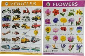 S Mark 12.7 cm Vehicles And Flowers Chart For Kids | Pack Of 1 ...