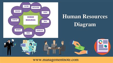 Human Resources Diagram - Human Resource Management (HRM) | Management ...