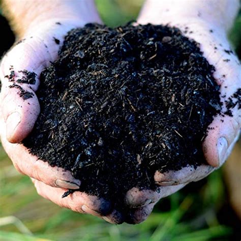 SAPRETAILER Potting Soil Mix of Perlite Vermiculite Vermicompost Cow ...