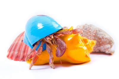 Tips for a smooth travel management transition - Egencia India