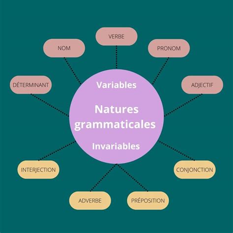 Comment reconnaître les classes grammaticales