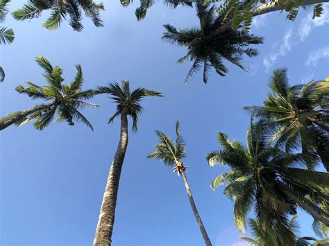 Thailand Weather in February: What travelers should know