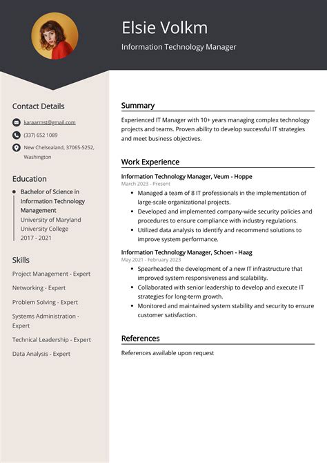 Information Technology Sample Resume 的图像结果