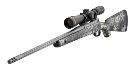 Image result for Springfield Armory Model 2020 Boundary