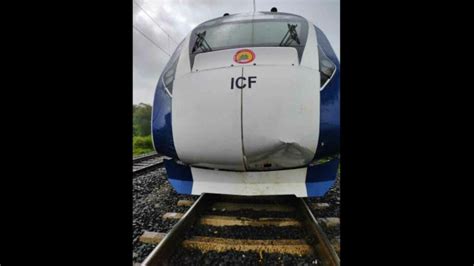 After cattle-hit incidents involving Vande Bharat train, RPF asks heads ...