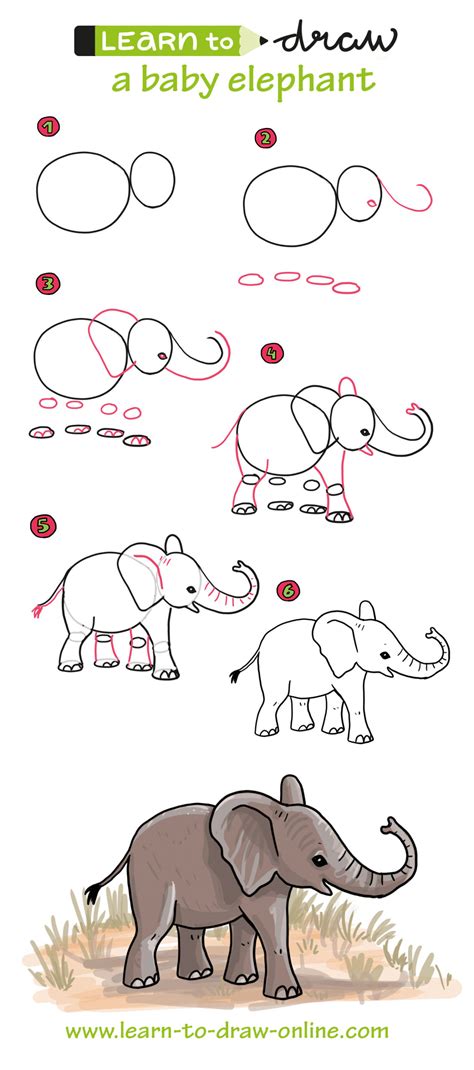 How To Draw A Baby Elephant Step By Step For Kids - Infoupdate.org