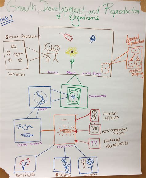 Development Science Example 的图像结果