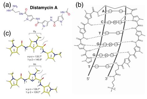The Road Not Taken with Pyrrole-Imidazole Polyamides: Off-Target ...