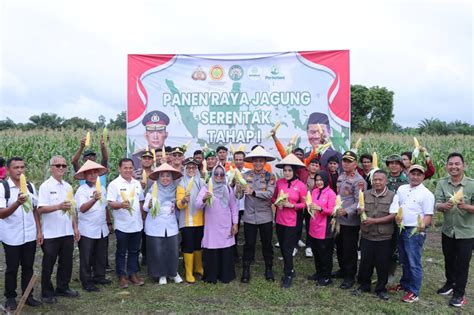 Polres Kampar Sukses Panen Raya Jagung Tahap I, Wujudkan Sinergi dan ...