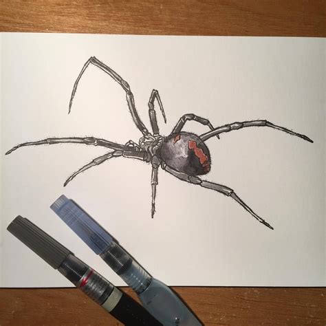 How To Draw Black Widow Spider - Drawing Word Searches