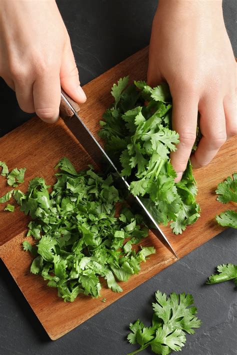 13 Best Cilantro Substitutes (Dried and Fresh Alternatives) - Insanely Good