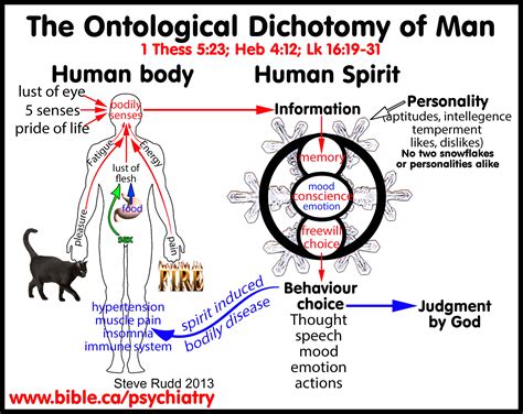 Ontological trichotomy of man: Spirit, Soul and Body