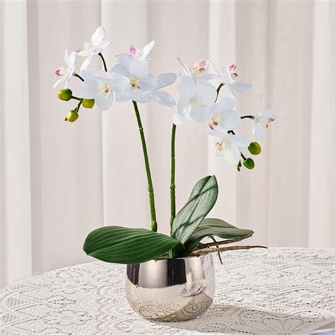 Avoeco Artificial Orchids in Pot, Real Touch, Artfully Crafted ...