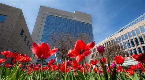 Fed 101: Reserve Banks and the roles of the Fed - Dallasfed.org