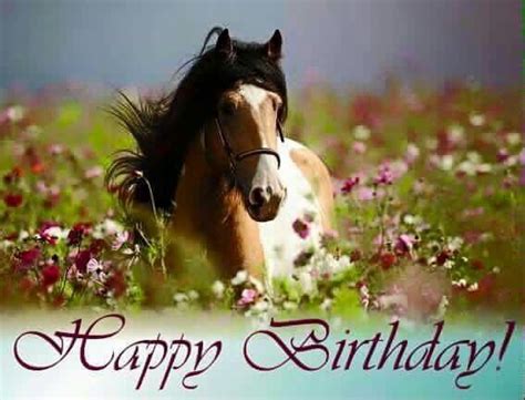 Happy Birthday Horse Card