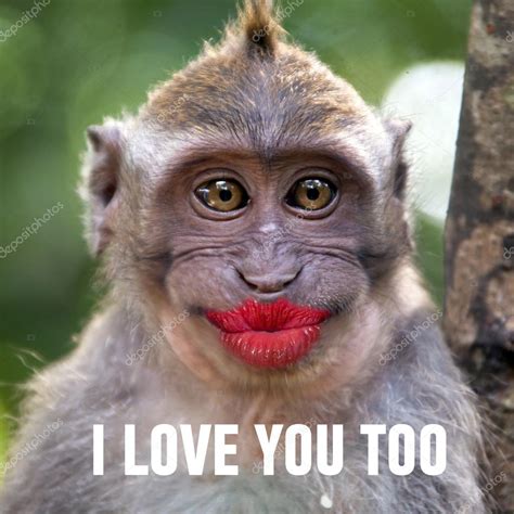 Pictures Of Monkeys With Big Lips | Lipstutorial.org