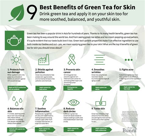 9 Best Benefits of Green Tea for Skin - Free Bunni