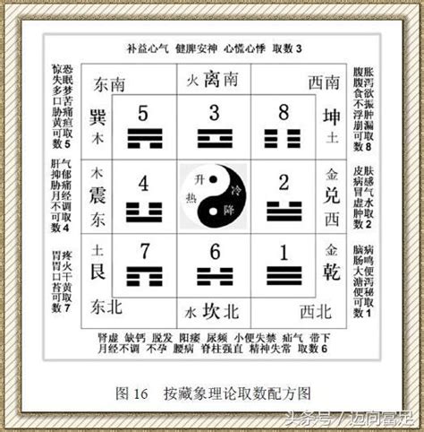 中国八卦象数疗法·李山玉.pdf - 藏书阁