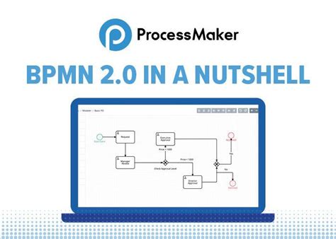 Image result for Real Life Examples of Using Bmpn 2 0