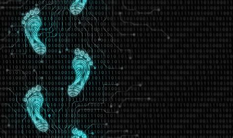 Digital Footprint Photography 的图像结果