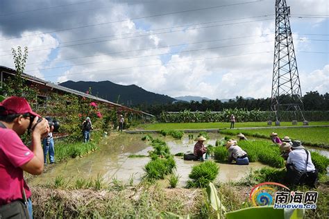 三亚吉阳区摄影大赛采风团走进月川单元 见证如火如荼城市建设加速度_社会热点_社会频道_云南网