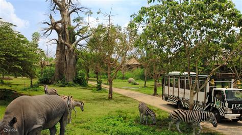 Bali Safari and Marine Park Tickets (Domestic Rate) in Bali, Indonesia ...