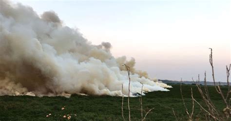 Watch: Bengaluru’s Bellandur lake catches fire again because of illegal ...