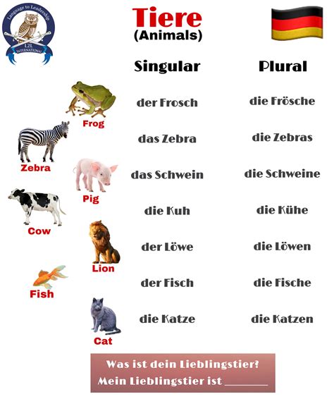 Tiere Animals Name in German Language | German language, Learn german ...