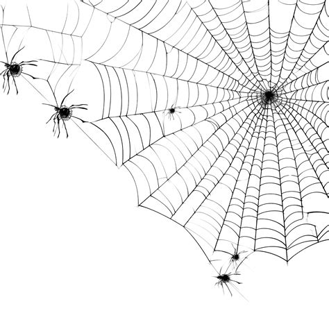 Halloween Spider Webs, Spider Webs, Halloween, Spider PNG Transparent ...