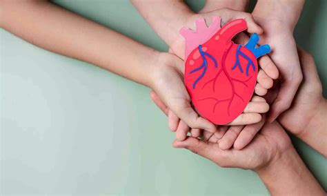 Higher ratio of plant protein to animal protein may improve heart ...