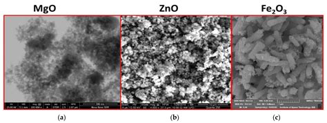 Acaricidal Potential and Ecotoxicity of Metallic Nano-Pesticides Used ...