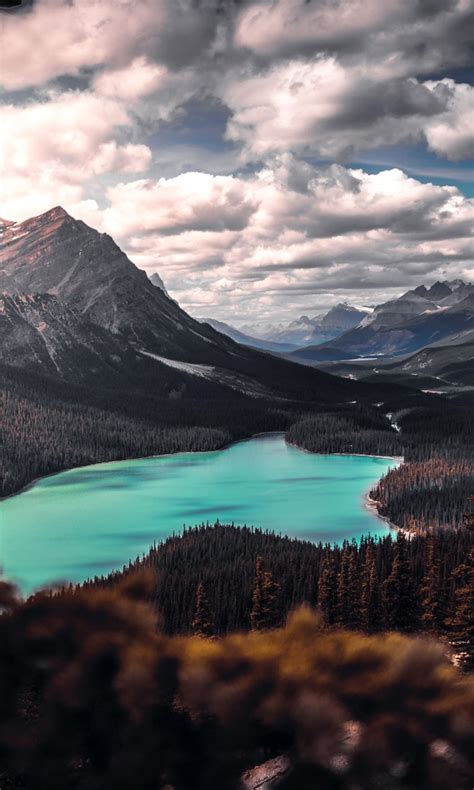 HD Landscape View 的图像结果