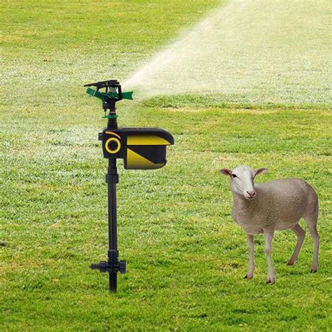 Motion Activated Sprinkler, Garden Protection India | Ubuy