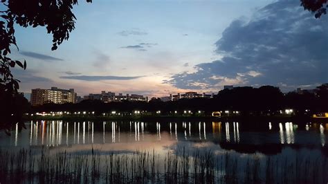 PUNGGOL PARK - All You Need to Know BEFORE You Go (with Photos ...