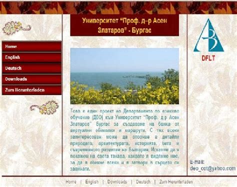 Multimedia 的图像结果