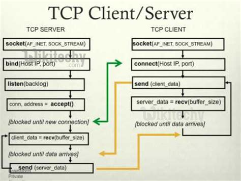 Python Networking in VMware Workstation 的图像结果