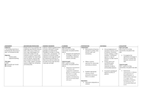 SOLUTION: Nursing care plan ineffective airway clearance - Studypool