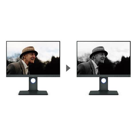 BenQ 24 Inch Monitor SW240, Best Price