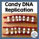 Image result for DNA Replication Lab