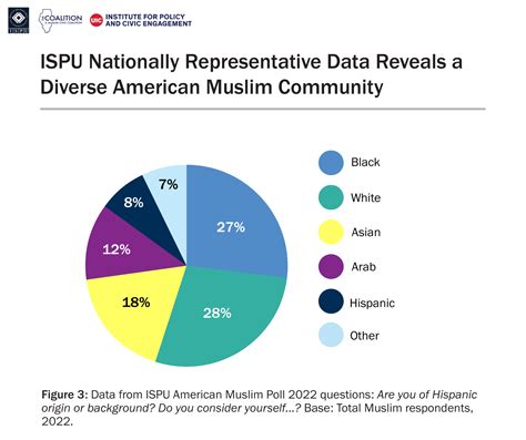Introduction, Results: Demographics — Muslim Civic Coalition